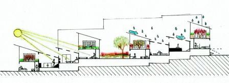 section